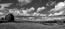 Culm Valley in Devon von Pete Hemington