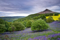 Bluebells at Roseberry Topping von Martin Williams