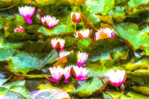 Water Lily Art von David Pyatt