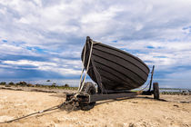 Fischerboot und Trailer von Rico Ködder