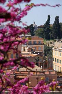 Rome ... eternal city XV by meleah