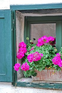 Fensterschmuck... by loewenherz-artwork