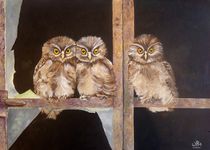 Owls in the window by Wendy Mitchell