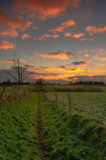 Towards the sunset by Maurice Hertog