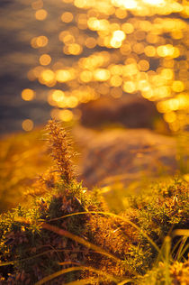 An Ocean View at Sunset by loriental-photography