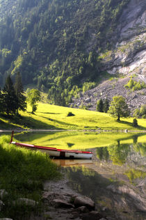 Idyll am Seeufer von Bruno Schmidiger