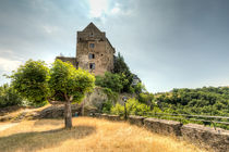 Schönburg-Oberwesel von Erhard Hess