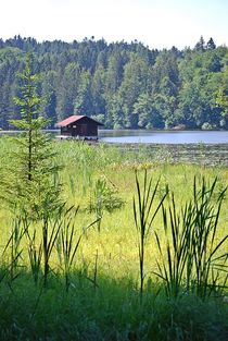 Idylle am Hackensee... 2 by loewenherz-artwork