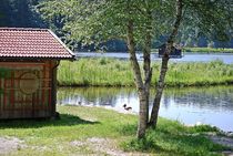 Idylle am Hackensee... von loewenherz-artwork