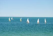 Sailboats, 2015 by Caitlin McGee