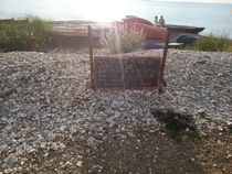 Austern am Meer (Oysters at the Seaside) von Philipp Tillmann