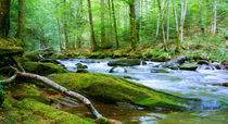 remember Springtime in Styria von Thomas Matzl