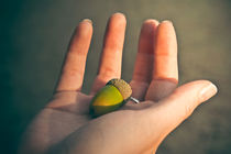 Life into the Palm of your Hand by loriental-photography