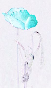 blauer Mohn... by loewenherz-artwork