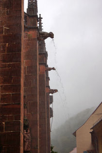 Wasserspeiende Wasserspeier von Sabine Radtke