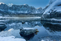 Frozen beauty von Bor Rojnik