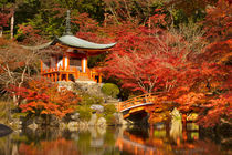 Autumn colours at Daigo-ji Temple in Kyoto, Japan von Sara Winter