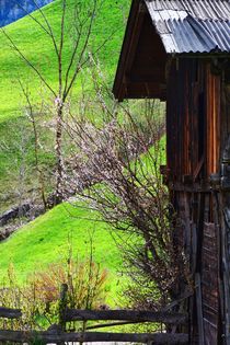 Frühling im Villnößtal von gscheffbuch