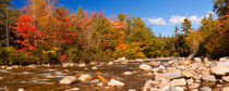 River through fall foliage, Swift River, New Hampshire, USA von Sara Winter
