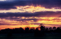 Heart of Sunset von Vicki Field