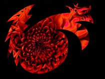 Flowery dragon_wolf von foryou