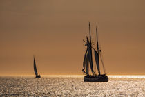 Segelschiffe auf der Hanse Sail by Rico Ködder
