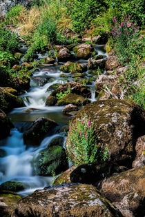 Triberger Wasserfälle - Waterfalls 2 von Thomas Klee