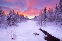 Sunrise over a river in winter near Levi, Finnish Lapland von Sara Winter