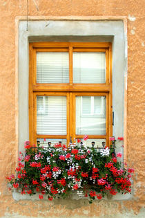 Window von kourai