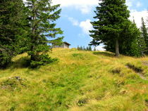 Wiesenweg von Ulrike Ilse Brück