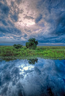 Reflections In The Florida Everglades by Dean Perrus