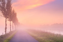 Foggy sunrise in typical polder landscape in The Netherlands by Sara Winter