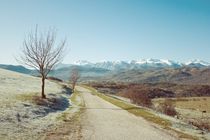 Mountains in the background by Salvatore Russolillo