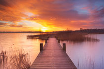 Boardwalk over water at sunrise, near Amsterdam The Netherlands by Sara Winter