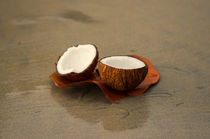 Coconut by cinema4design