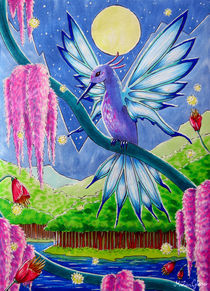 Kolibri von dreamtimeart