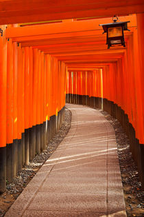 Torii gates of the Fushimi Inari Shrine in Kyoto, Japan von Sara Winter