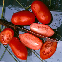 Saftige Tomaten. von li-lu