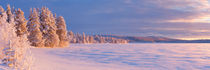 Frozen Äijäjärvi lake in Finnish Lapland in winter at sunset by Sara Winter