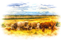 The Friendly Cows Art von David Pyatt