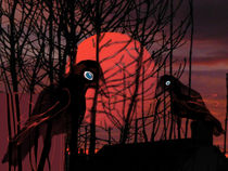 ..crows at dawn.. by ingkacharters