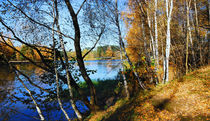 Autumn fine day in the suburbs by Yuri Hope