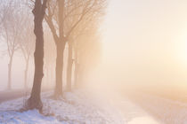 Foggy winter's sunrise in typical polder landscape in The Netherlands by Sara Winter