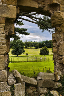 The View Beyond by Colin Metcalf