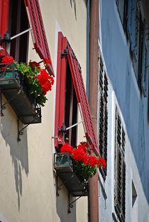 Altstadt Brixen... 6 von loewenherz-artwork