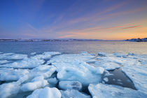 Ice floes at sunset, Arctic Ocean, Porsangerfjord, Norway von Sara Winter