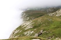 Standing on the Edge of Sciliar/Schlern by Philipp Tillmann