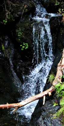 Tiny Waterfall von Philipp Tillmann