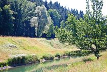 Loisach-Isar-Kanal... 8 by loewenherz-artwork