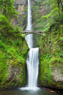 Multnomah Falls in the Columbia River Gorge, Oregon, USA von Sara Winter